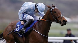 Cheltenham: Line-up of favourites leave bookies dreading big day one payout