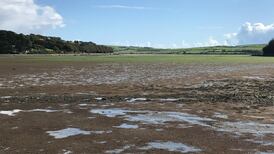 Ireland’s waterways face increasing levels of nitrogen pollution