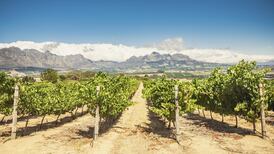 Staying in? Try a South African wine