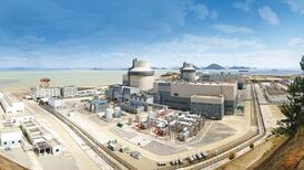 Government urged to reconsider Ireland’s nuclear power ban