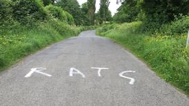 Mairead McGuinness finds abusive graffiti near her home