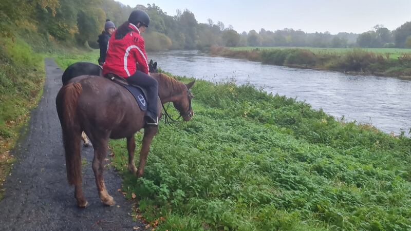No matter where you are in the Munster Vales it seems you are within walking distance of an equestrian centre