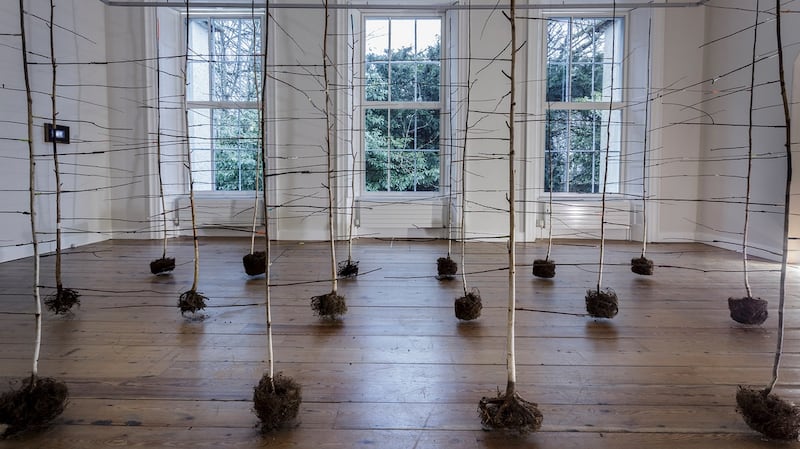 Anita Groener, The Past is a Foreign Country, (The Dock, Carrick-on-Shannon installation view) Uilinn