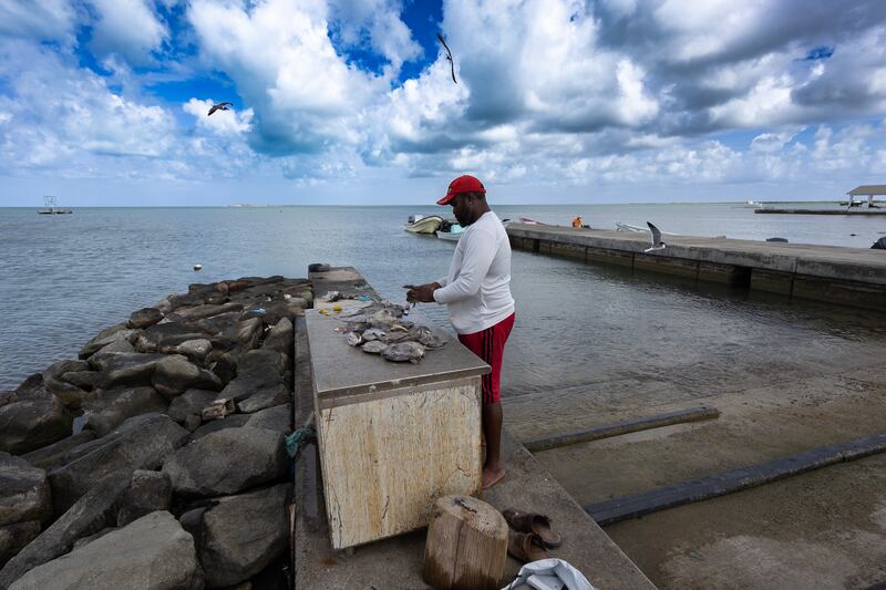 The people of Barbuda are largely self-sustaining. Photograph: Jennifer Hough