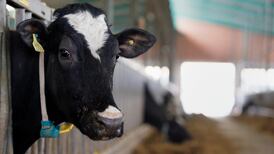 Lakeland Dairies reports profits of €7.9m