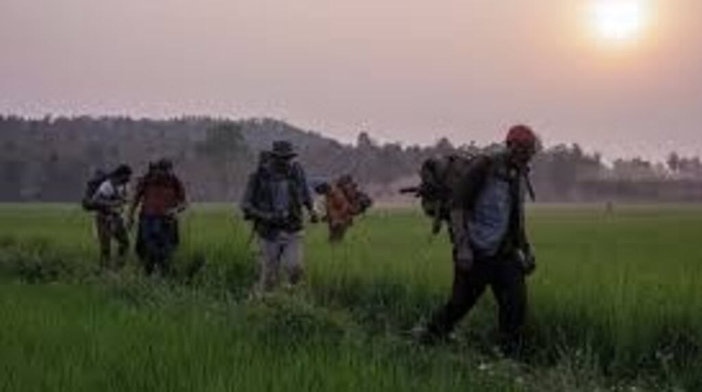 This Vietnam War inspired drama concerns a tontine, that is, an unlikely stash of gold discovered by the five young soldiers of the title.