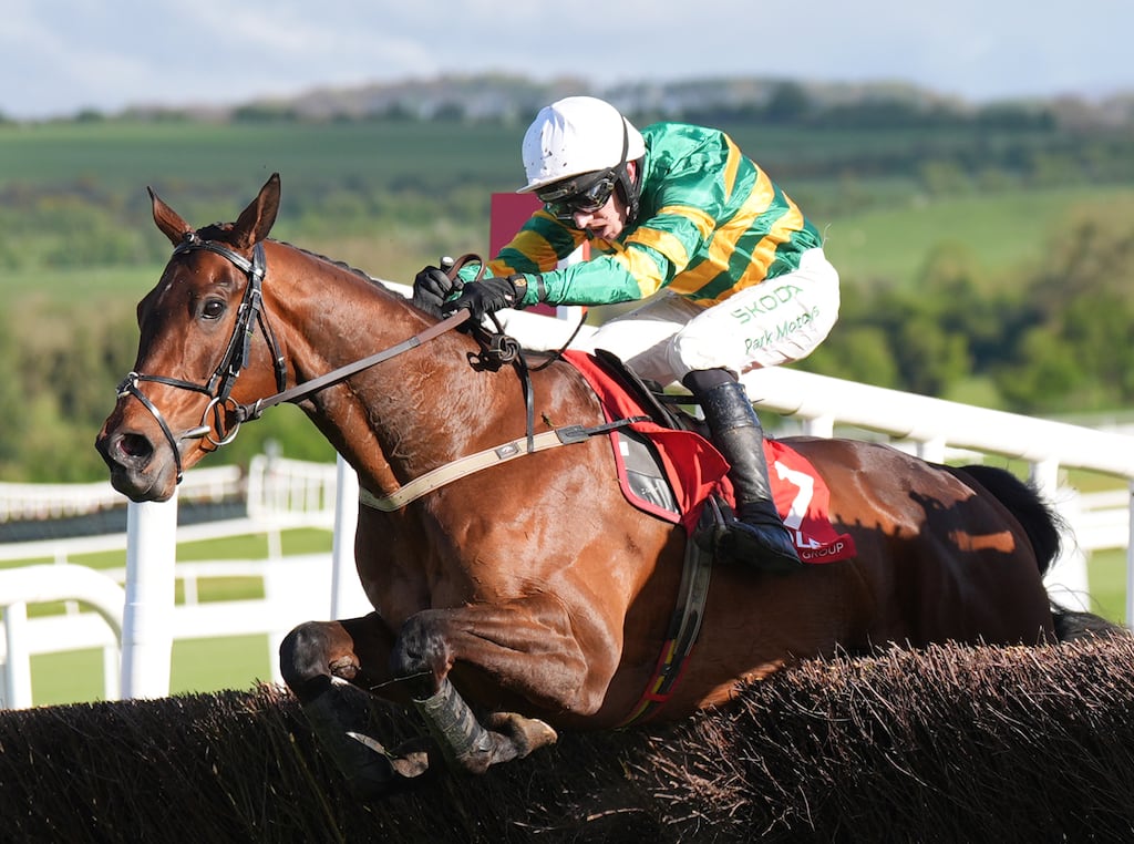 Spillane's Tower, who is set for a spin over hurdles at Naas this weekend. Photograph: Niall Carson/PA