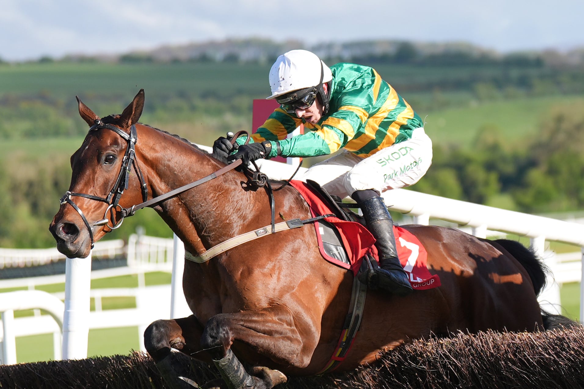 Spillane’s Tower returns over hurdles ahead of potentially pivotal season over fences