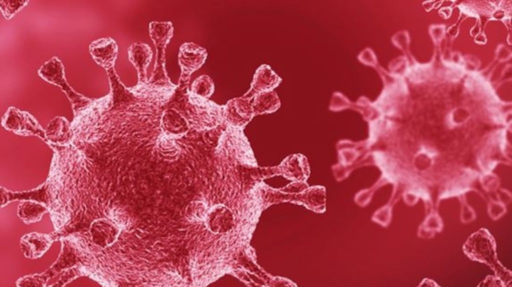 The vast majority of cases of the Delta variant of Covid-19, at 49.3 per cent, were detected in the 19-34 age category.