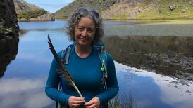 A manifesto for nature: How politicians can protect the environment