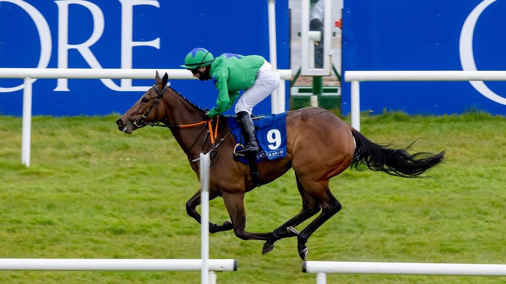 Gary Carroll on Quick Suzy wins the Irish EBF Stallion Auction Series Maiden at the Curragh back in May. Photograph: Morgan Treacy/Inpho
