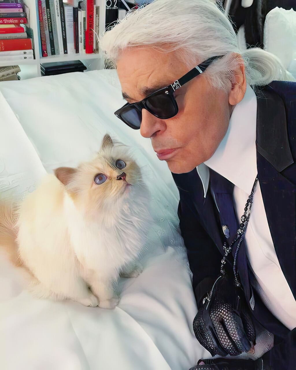 The Mysterious Mr Lagerfeld: Karl Lagerfeld is believed to have bequeathed a chunk of his estimated €450 million fortune to his cat Choupette. But who really got the dosh? Photograph: Françoise Caçote/BBC