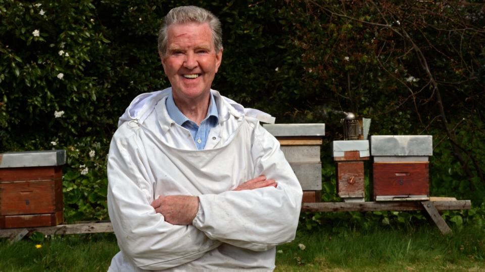 Liam McGarry, secretary of the County Dublin Beekeepers’ Association, at his Shankill apiary. “We have a native strand of Irish bee here, the dark bee, and they’re more suited to this climate and they’re a nice quiet bee.” Photograph: Eric Luke
