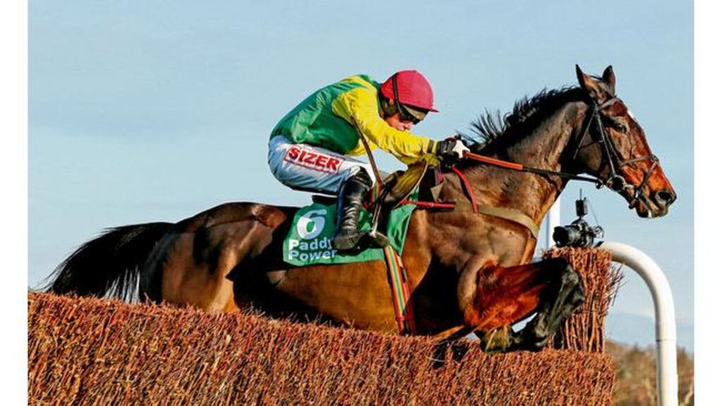 Sizing Europe and Andrew Lynch at Leopardstown over Christmas. Henry De Bromhead is keeping his Cheltenham options open for his stable star.