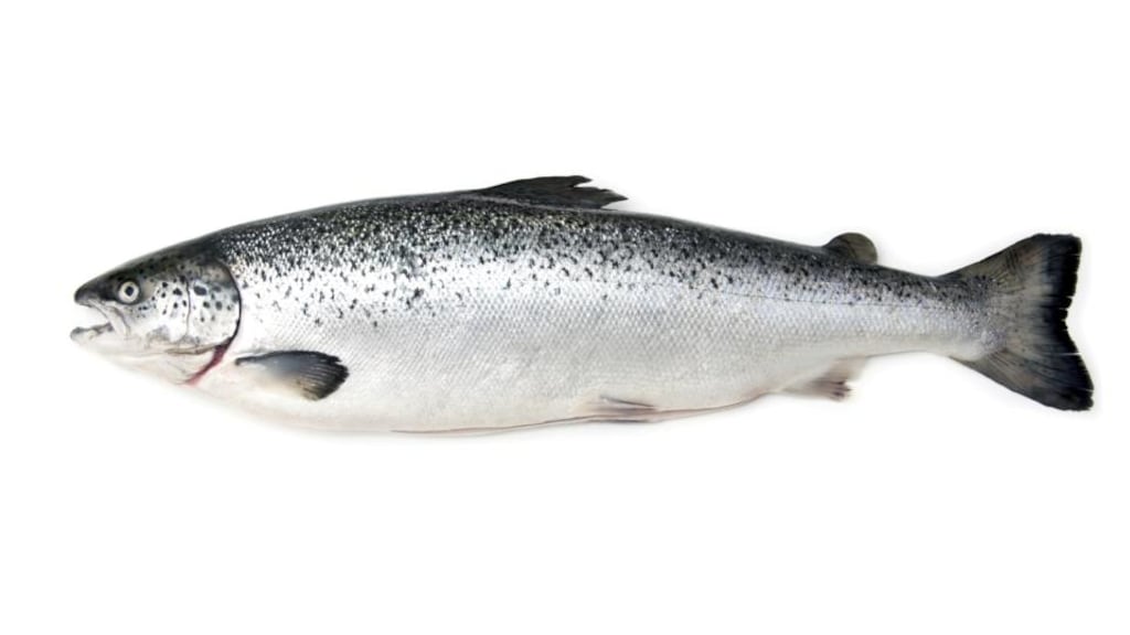 Photograph: Edward Westmacott/Getty