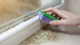 Is the landlord or management company responsible for upgrading our windows?