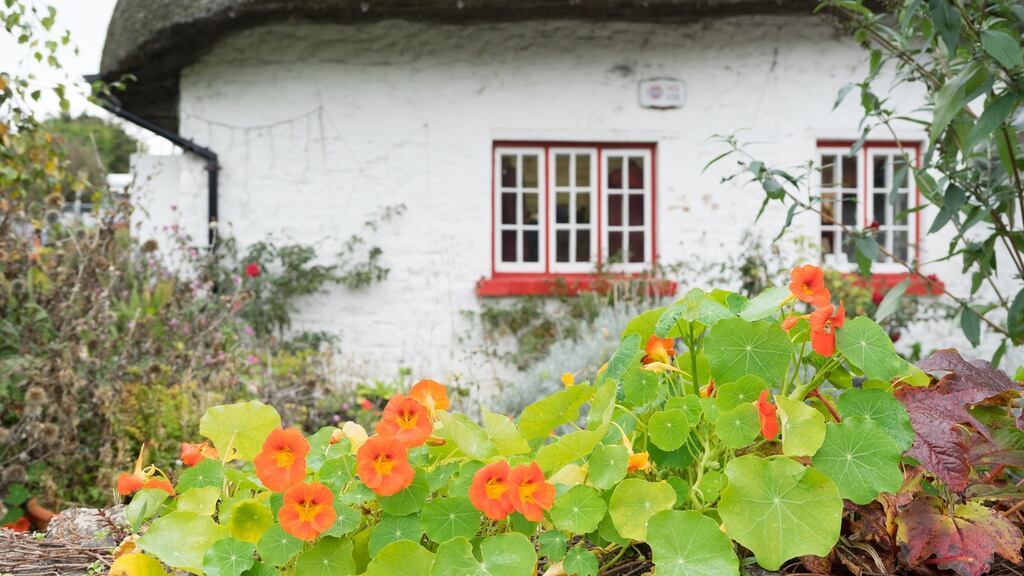 Photograph: Getty Images