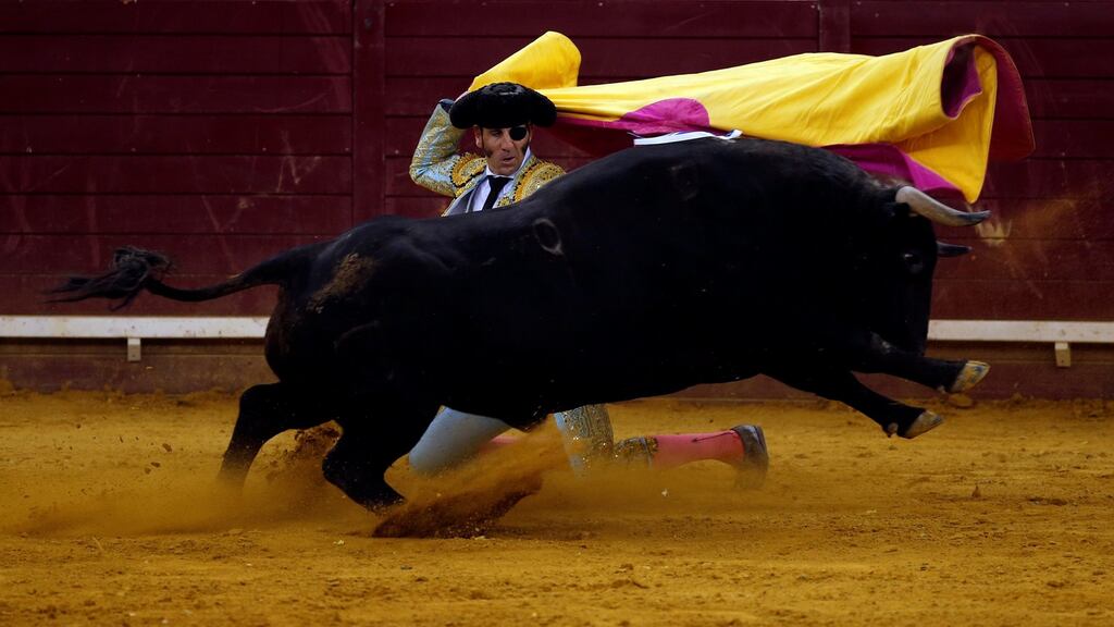 Spanish bullfighter Juan Jose Padilla performs a pass on a bull during a bullfight in Lisbo on September 29th. Bullfighting has been under increasing pressure in recent years, with fewer than 1,900 bullfights held in Spain in 2014, compared to 3,650 in 2007. Photograph: Rafael Marchante/Reuters