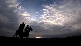 Tullow Tank being primed for Gold Cup at Fairyhouse