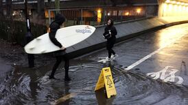 What a time to be alive: Internet captivated by ... a puddle