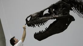 Latest technology challenges  beliefs about dinosaurs