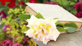 Gardening books for green fingers