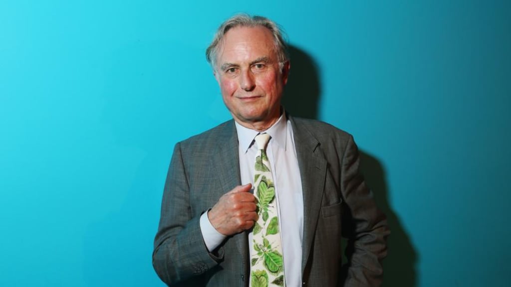Richard Dawkins:  confident the Irish people would vote to overturn the blasphemy law if there was a referendum on the issue. Photograph: Don Arnold/Getty Images