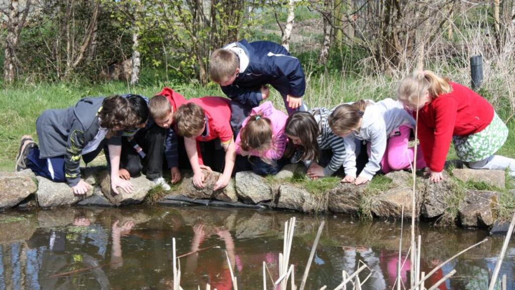 Airfield Farm, Dundrum, Dublin