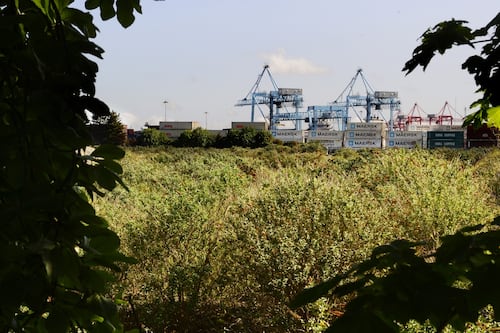 Eastdil to advise Johnny Ronan and Oaktree on glass bottle site