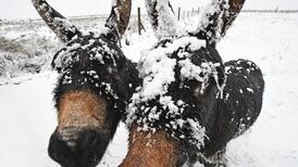 Two new weather warnings issued for snow and high winds