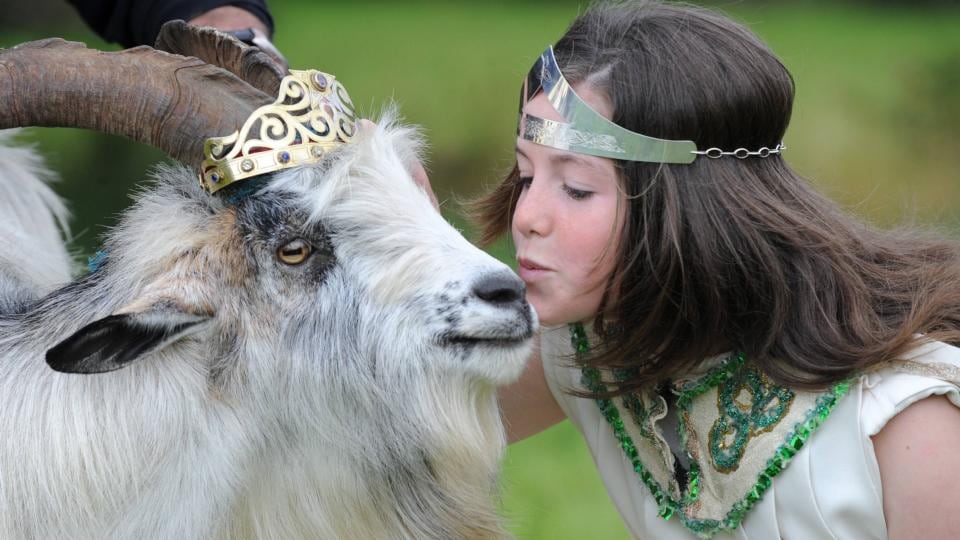 Puck Fair, Killorglin, Co Kerry. Photograph: Don MacMonagle