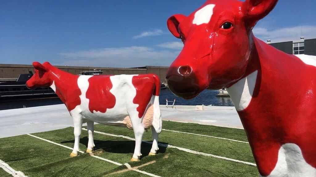 The cows in Floating Farm are real – the farmhands are robots