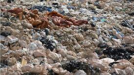 Cork County Council backs revised incineration project