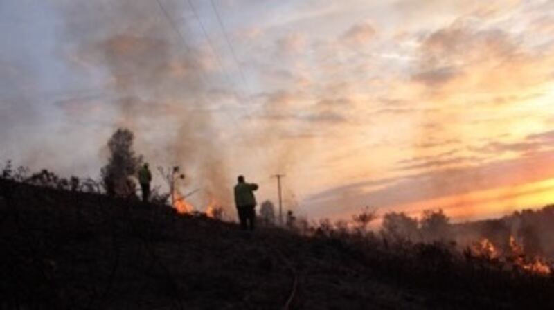 Firefighters attend to a gorse fire on Caggigoona commons, Kilmacanogue in Bray, Co Wicklow on Friday morning. Photograph: Declan Mallen