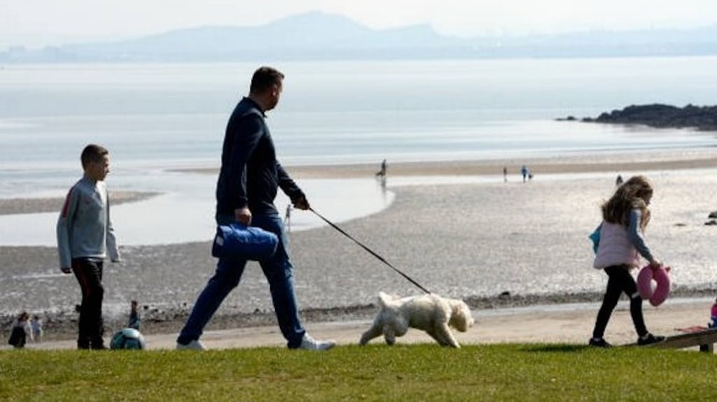 The body produces vitamin D in response to sunlight and the scientists investigated how it affects a mechanism in the immune system. Photograph: Getty