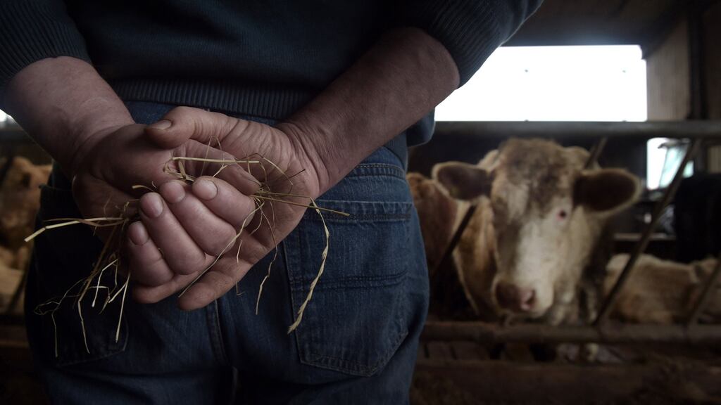 In the event of a no-deal Brexit, a typical 360kg beef carcass, currently trading into the British market at the equivalent of €1,350, would cost €2,187 under WTO rules. Photograph: Getty Images