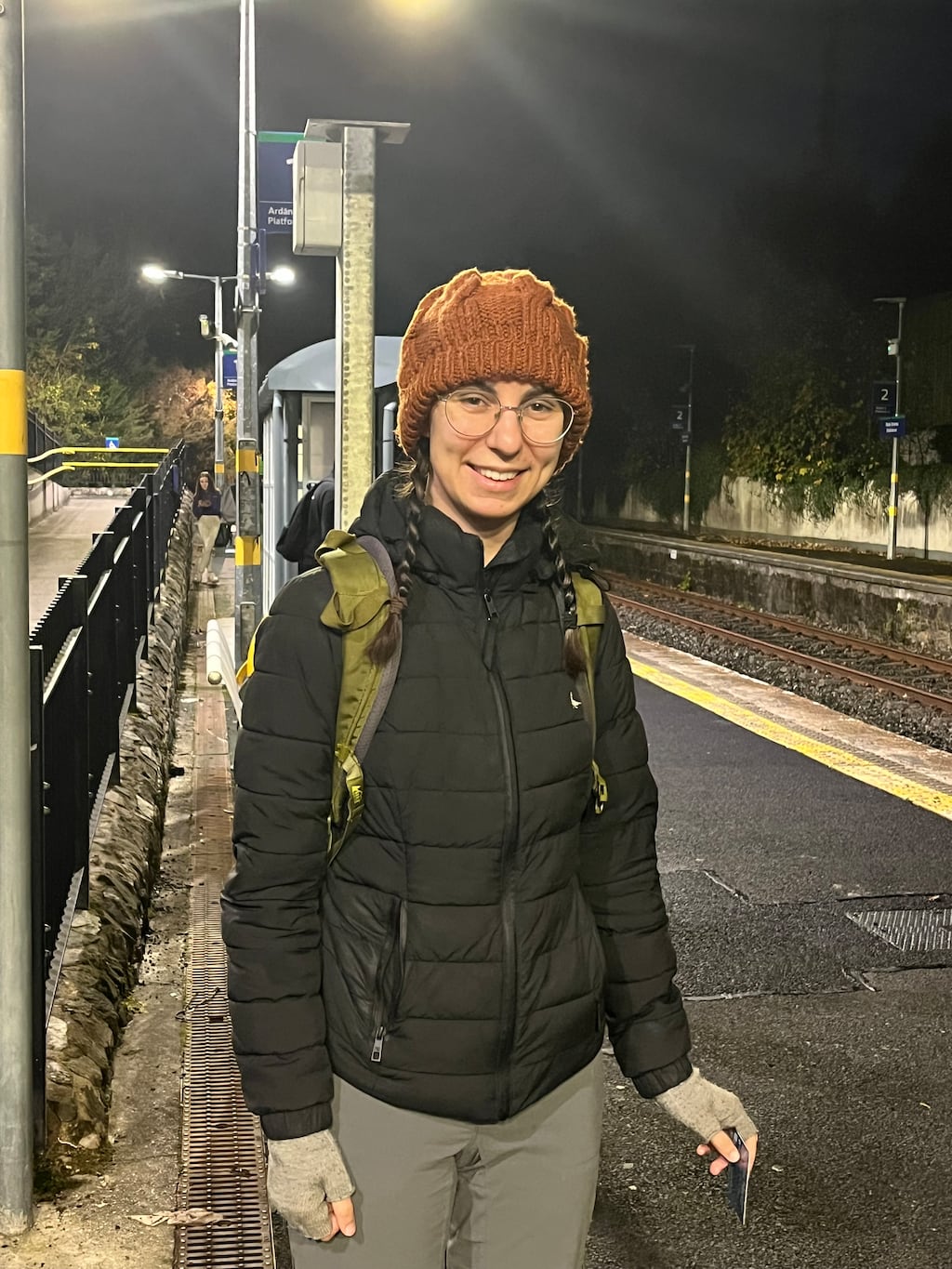 Delia Termini has contacted the National Transport Authority and her local TDs about the crowded conditions and the number of trains on the Wicklow/Wexford service.