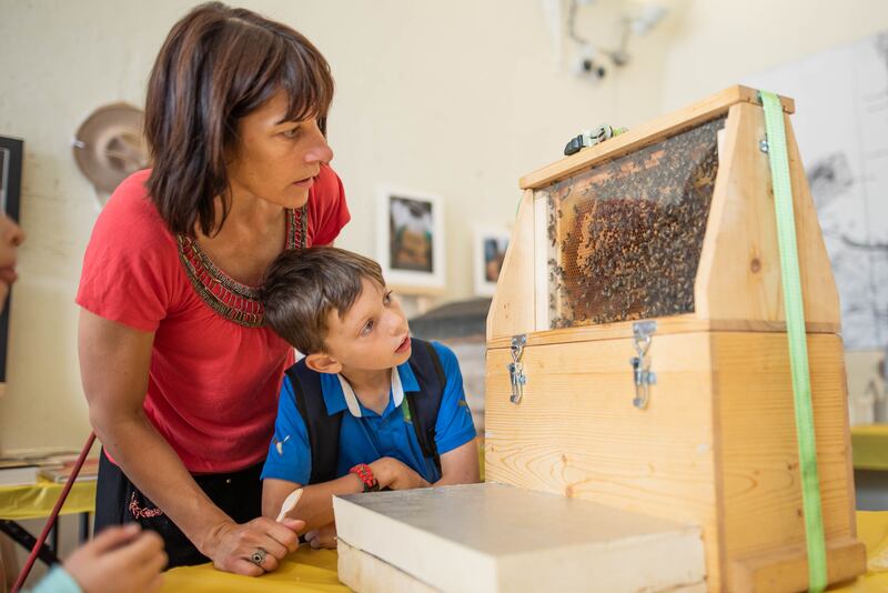 Get up close and learn about nature at free events all over the country