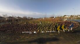 Body of driver found in car in middle of roundabout