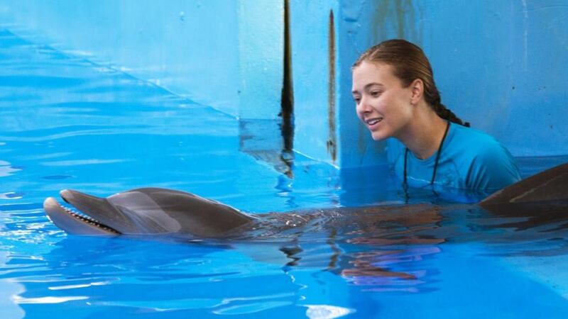Dolphin Tale 2 review: that sinking feeling is back