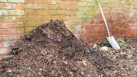 Is my compost doomed after all this rain?