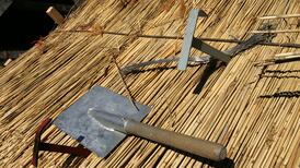 Thatched houses face extinction in Brexit-linked insurance blow