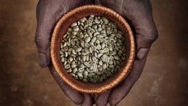 Hipster coffee craze reaches deep into African war zones