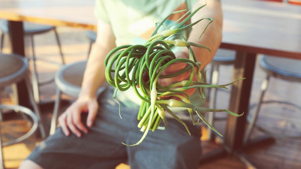 Since the asparagus season has ended, you can supplement them as a side dish for your fish or beef