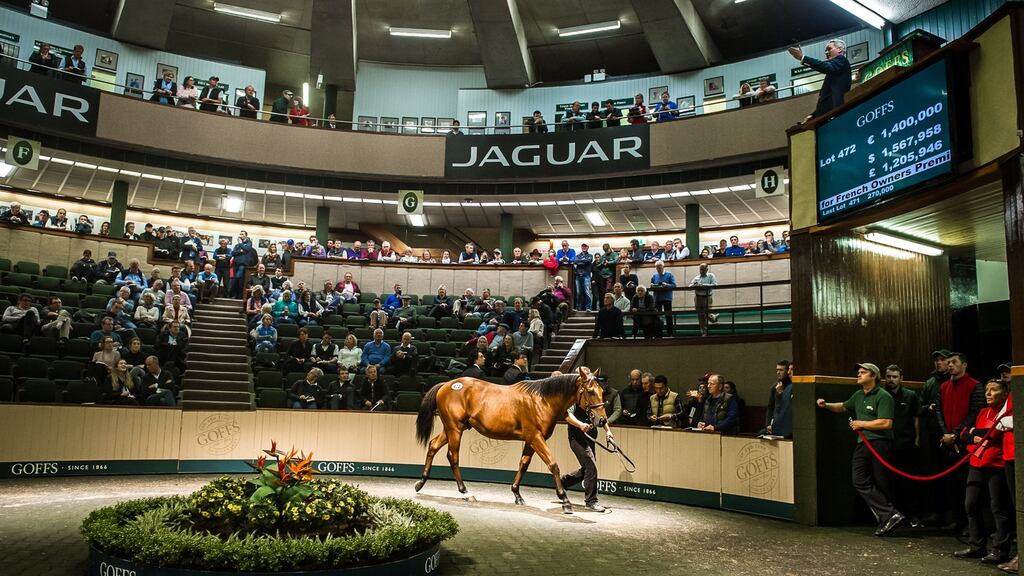 Some 1,753 horses have been catalogued for this week’s sales at Goffs