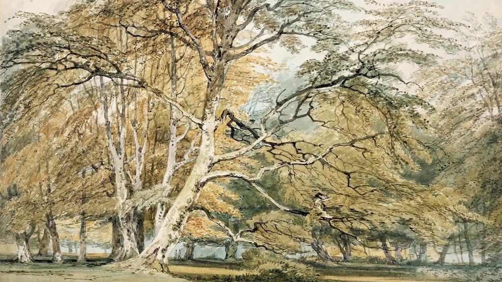 Beech Trees at Norbury Park, JMW Turner (1797) ©National Gallery of Ireland.