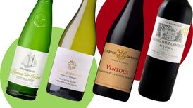 John Wilson: My Christmas picks from Dunnes Stores’ wine sale