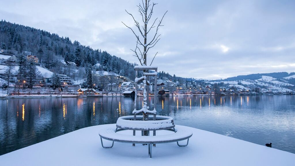 The vote on Switzerland’s planned reforms is scheduled for February 12th. Photograph: EPA