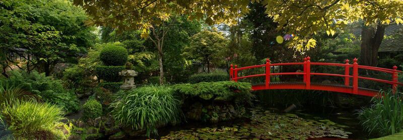 There’s something for everyone at the National Stud, including the stunning Japanese Gardens.