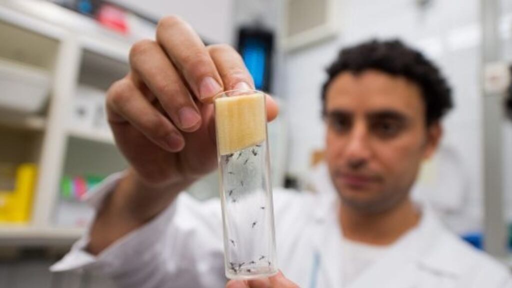 Sexual transmission of the Zika virus has been reported, including a case in Dallas confirmed by the Centers for Disease Control and Prevention. Photograph: EPA